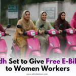 Pakistani women riding pink electric bikes under Sindh government scheme.