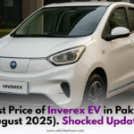 Inverex electric vehicle parked in a city street in Pakistan
